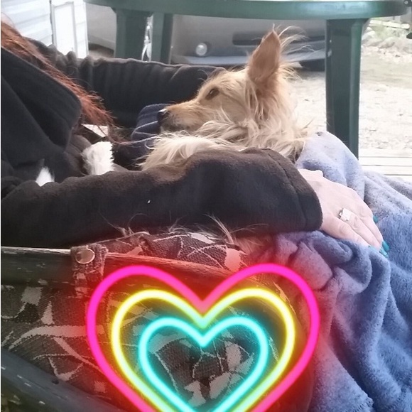 Meet your Posher, Barbara - Picture 5 of 14